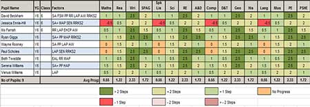 Pupil Progress Summary